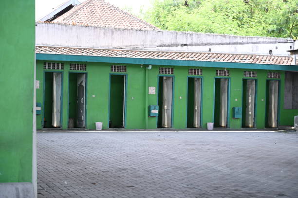 Best Affordable portable toilet rental  in Greenfield, IN
